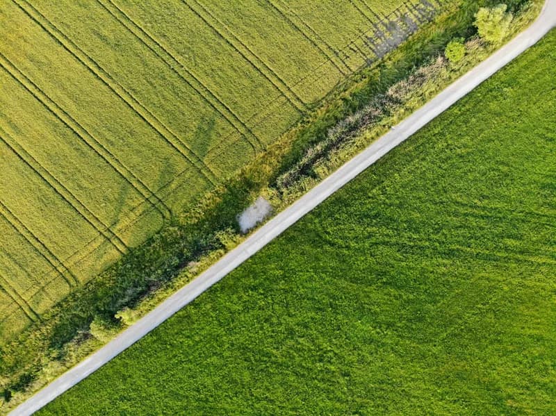 Tasty Gold Table